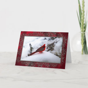 Cardinal 6243 Frame Christmas Card