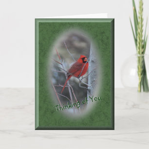 Cardinal 7532 oval bevel-blank inside card