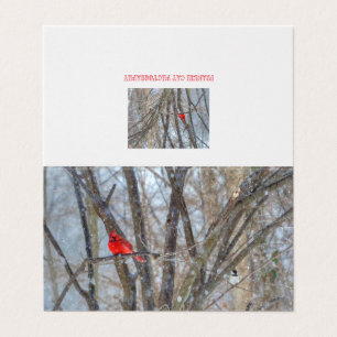 Cardinal and Chickadee Greeting Card