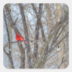 Cardinal and Chickadee Square Sticker
