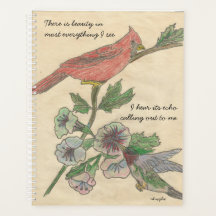 Cardinal and Hummingbird