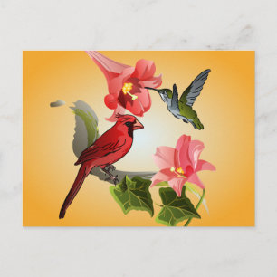 Cardinal and Hummingbird with Pink Lilies and Ivy Postcard