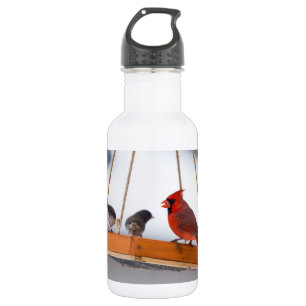Cardinal and Juncos Water Bottle