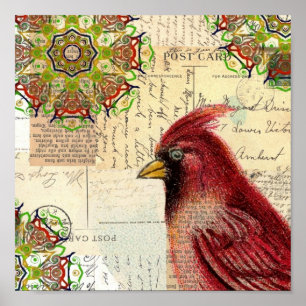 Cardinal and Postcards Poster
