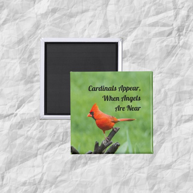 Cardinal Appear Angels Near Magnet Decor (Creator Uploaded)