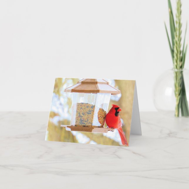 Cardinal at the Feeder - Blank Card (Front)