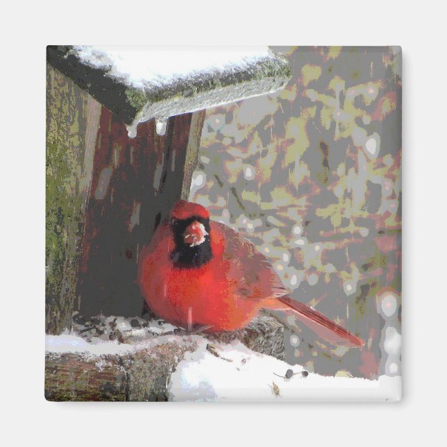 Cardinal at the Feeder Magnet (Front)