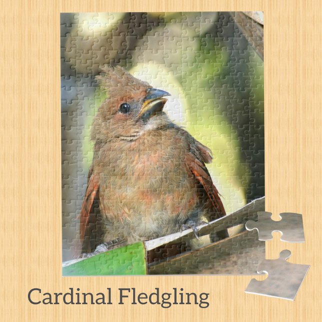Cardinal Baby Bird Photographic Fledgling Jigsaw Puzzle (Creator Uploaded)