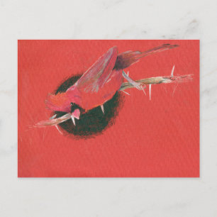 Cardinal bird animal illustration drawing red blac postcard