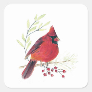 Cardinal Bird Art Square Sticker