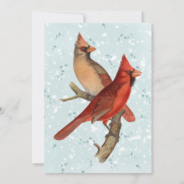 Cardinal Bird Branch Snow Winter Christmas Teal Holiday Card (Front)