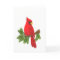 Cardinal  bird card 