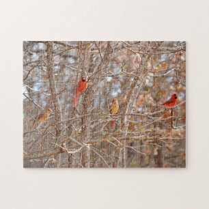 Cardinal Bird Couples Fall Season Tree Nature Jigsaw Puzzle