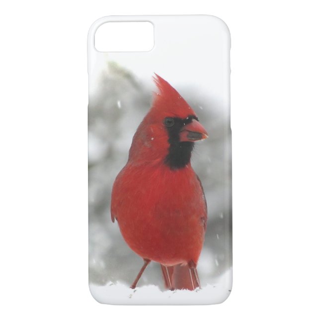Cardinal Bird iPhone Case (Back)