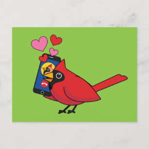 Cardinal Bird Love Mating Calls Postcard