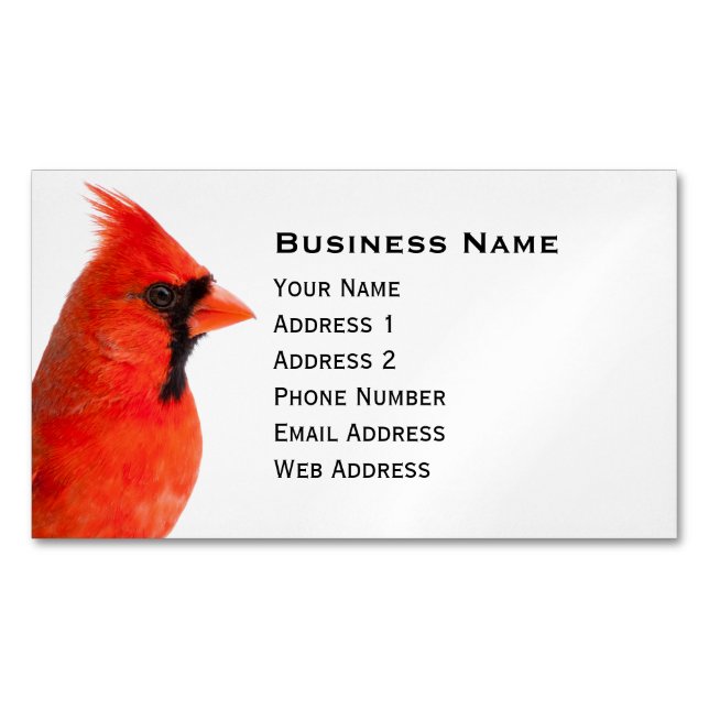 Cardinal Bird Magnetic Business Card (Front)