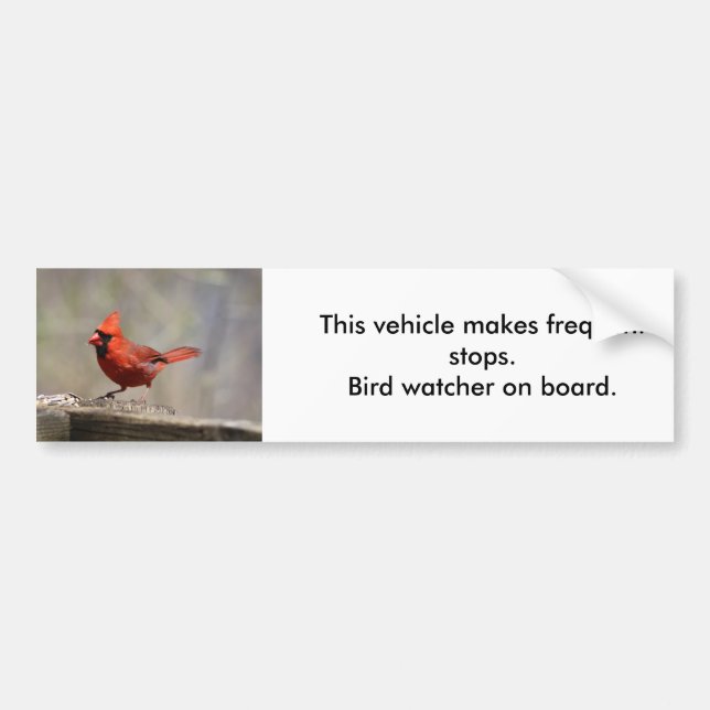 Cardinal Bird Watcher bumper sticker (Front)