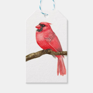 Cardinal bird watercolor gift tags