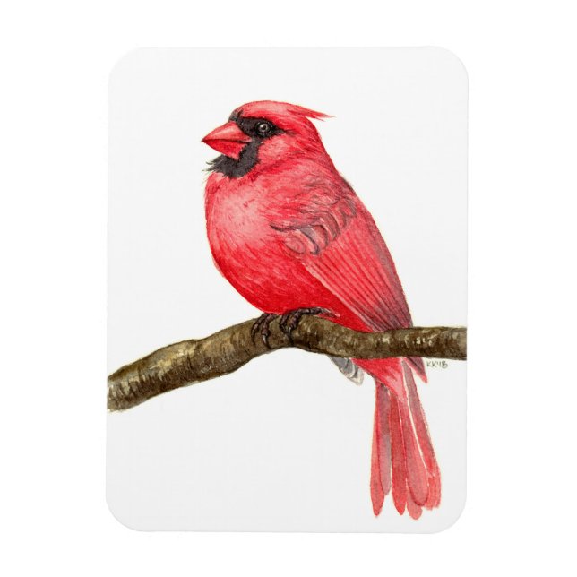 Cardinal bird watercolor magnet (Vertical)