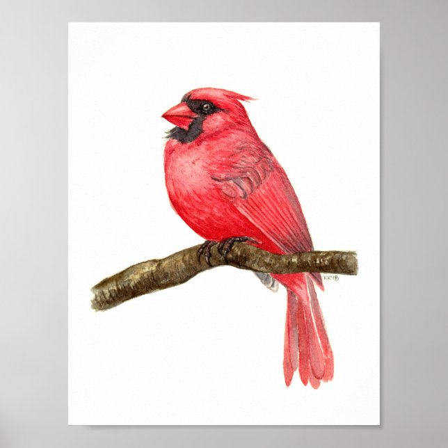 Cardinal bird watercolor poster (Front)