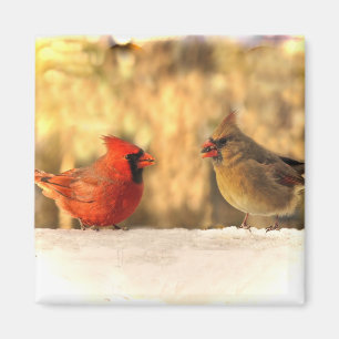 Cardinal Birds in Autumn Magnet