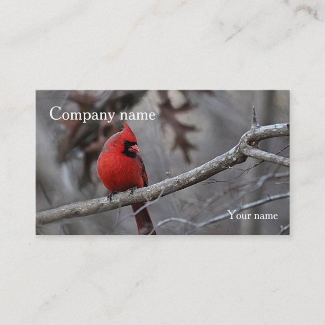 Cardinal Business Card (Front)