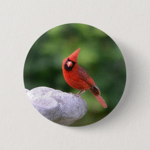 Cardinal Button