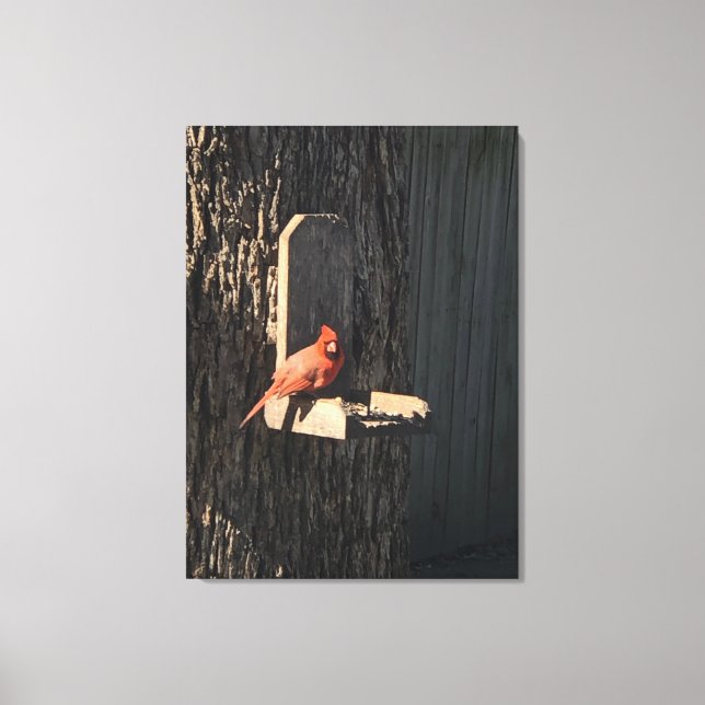 Cardinal Canvas Print (Front)
