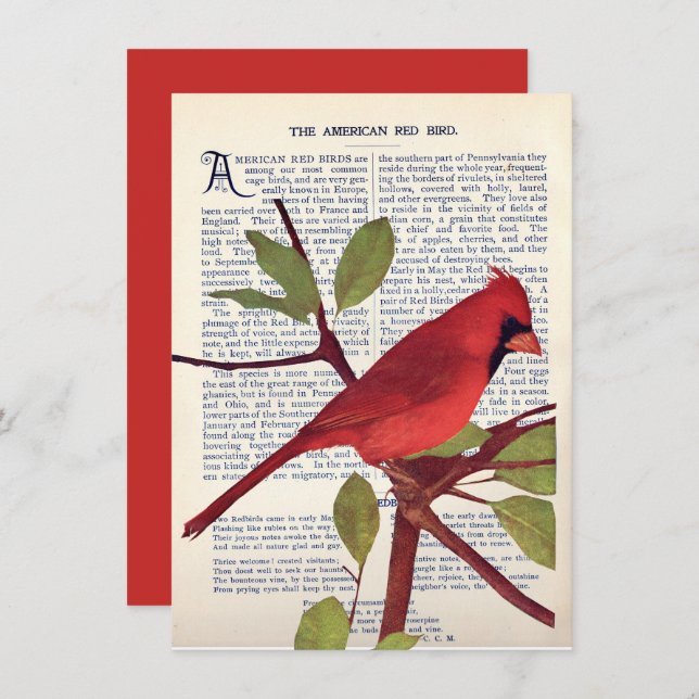 Cardinal Card (Front/Back)