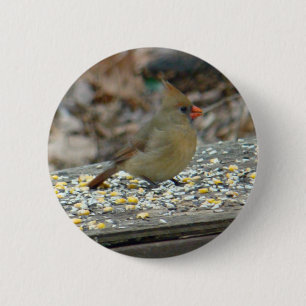 Cardinal (Cardinalis cardinalis) Female Songbird 6 Cm Round Badge