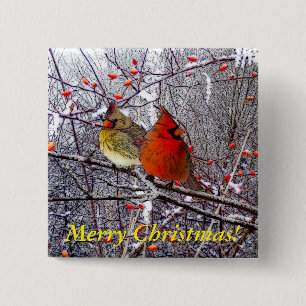 Cardinal Christmas 15 Cm Square Badge