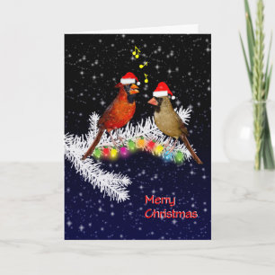 Cardinal Christmas Card (enter your own message)