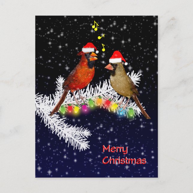 Cardinal Christmas Postcard (Front)