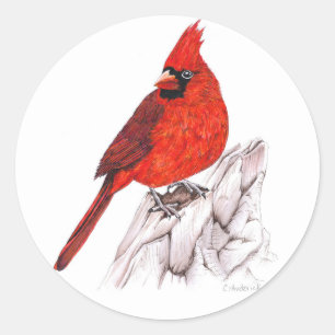 Cardinal Classic Round Sticker