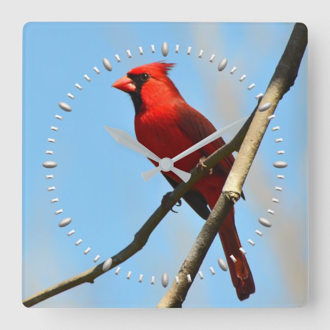 Cardinal Clock by Julie Everhart (Front)
