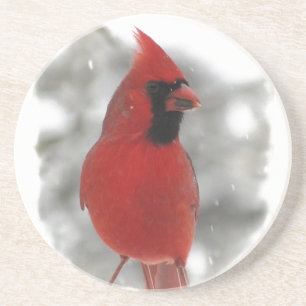 Cardinal Coaster