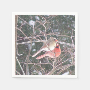 Cardinal Cocktail Napkins