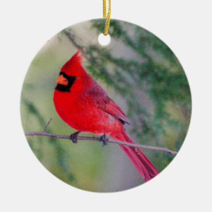 Cardinal Contrast Ceramic Tree Decoration