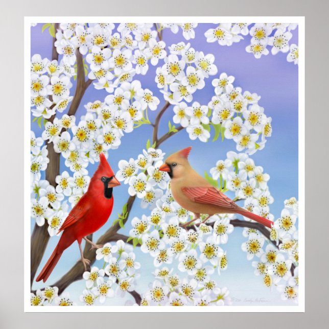 Cardinal Couple in Apple Blossoms Print (Front)