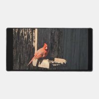 Cardinal