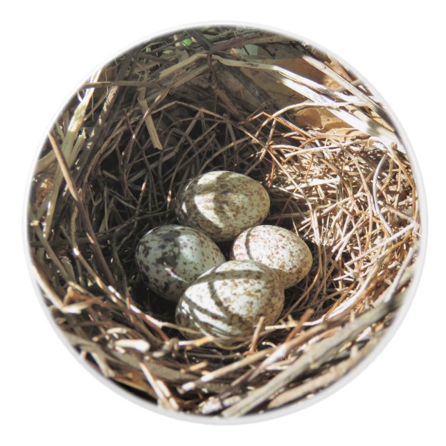 Cardinal Eggs Drawer Knob (Front)