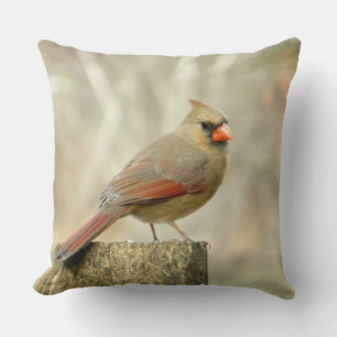 Cardinal ( Female) on Post Pillow