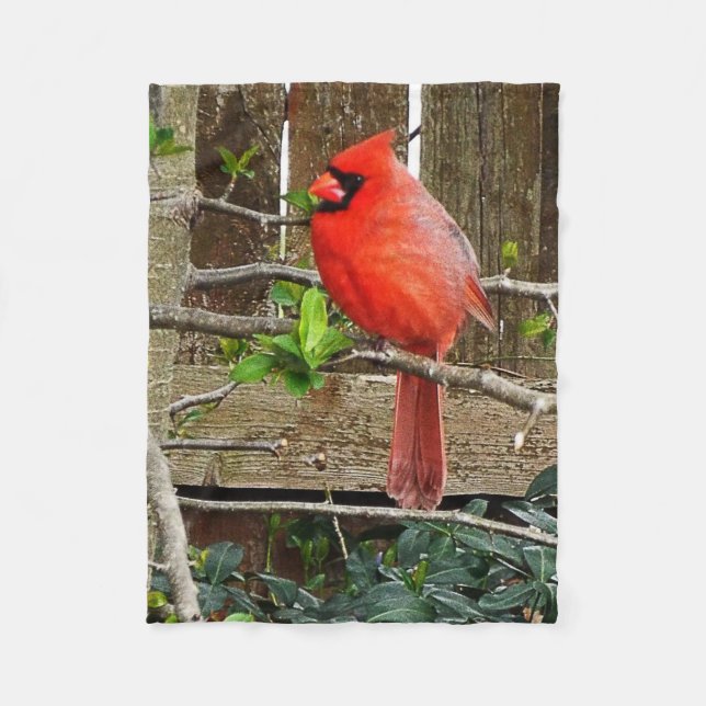 cardinal fleece blanket (Front)