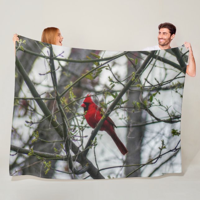 Cardinal Fleece Blanket (In Situ)