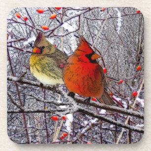 Cardinal Forest Coasters