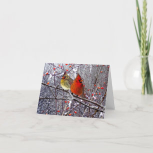 Cardinal Forest Note Card