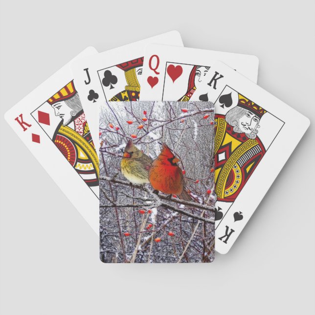 Cardinal Forest Playing Cards (Back)