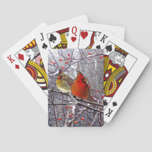 Cardinal Forest Playing Cards