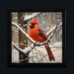 Cardinal Gift Box<br><div class="desc">A male cardinal in the winter woods</div>