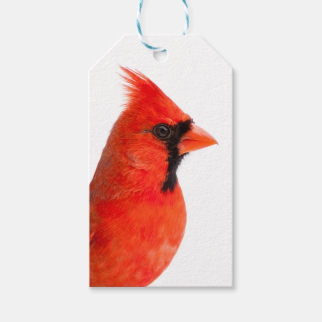 Cardinal Gift Tags (Front)